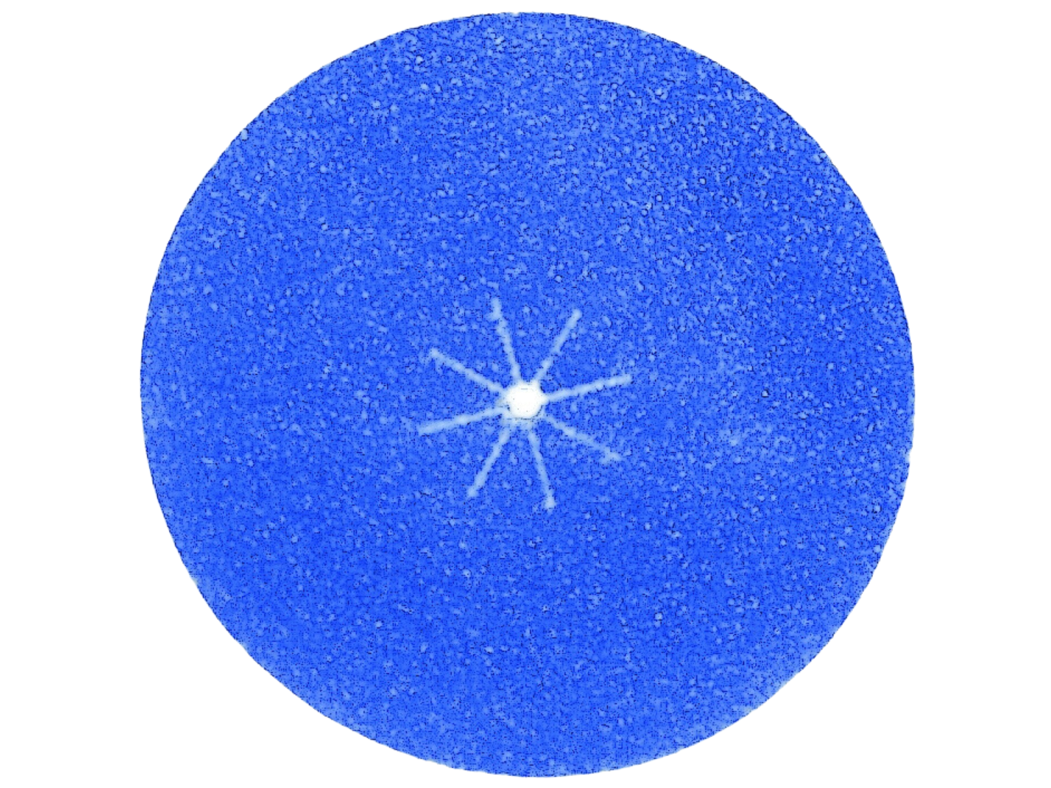 Klettschleifscheiben für Panda