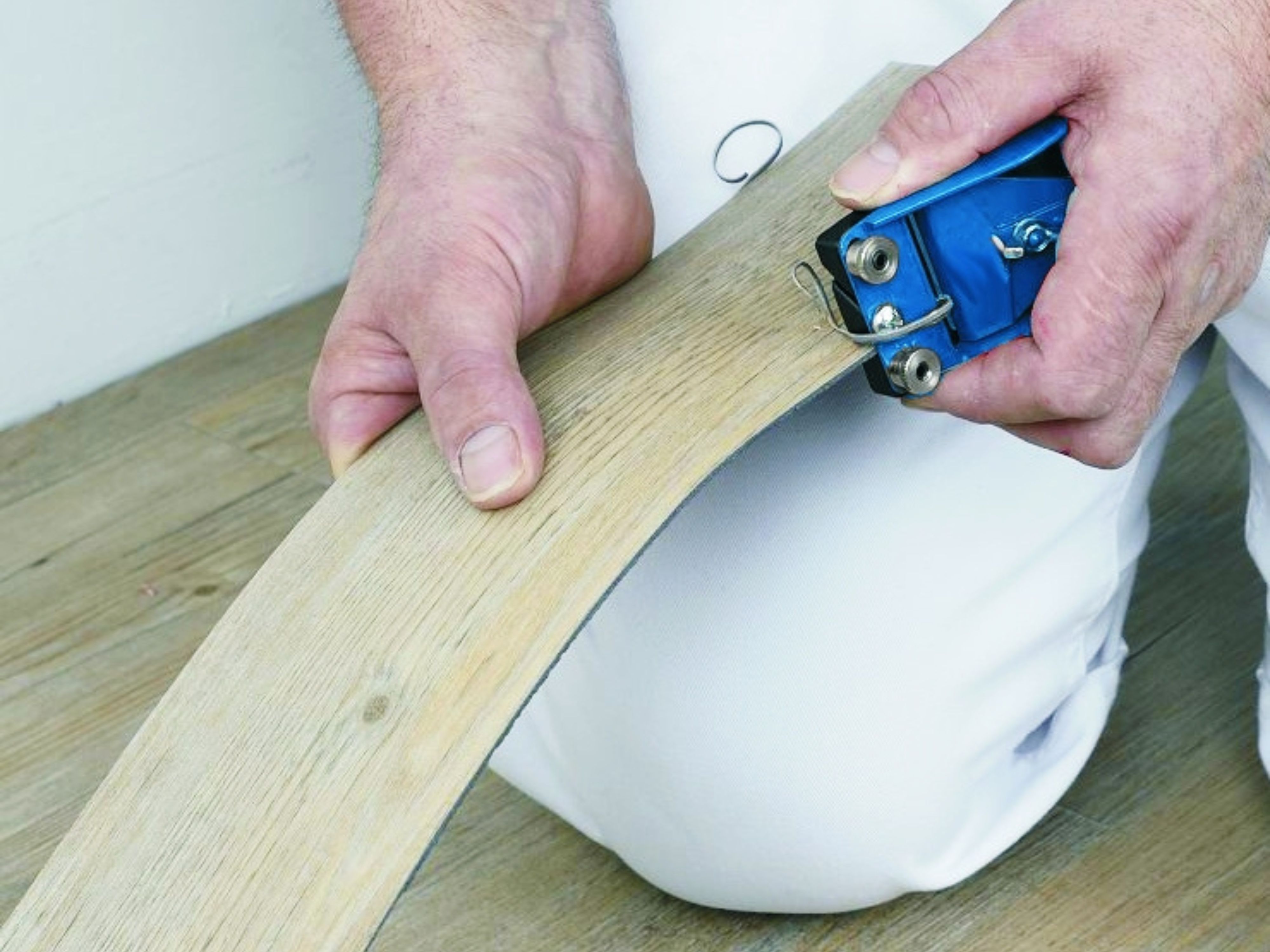 Anwendung Fasenkönig